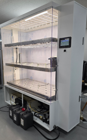 Hệ thống trồng rau